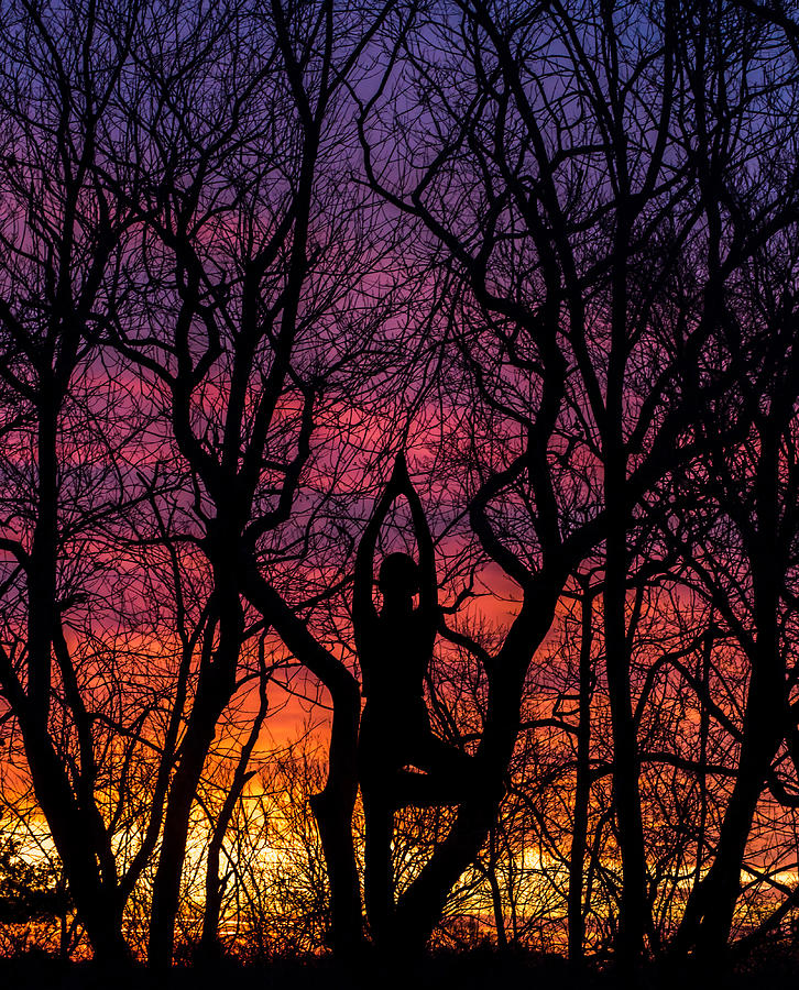 Yoga Tree Pose Sunrise One With The Trees Photograph by Terry DeLuco