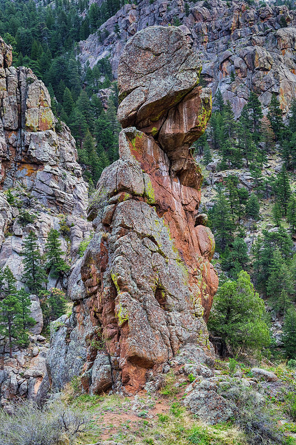 Yogi Bear Rock Formation Photograph by James BO Insogna