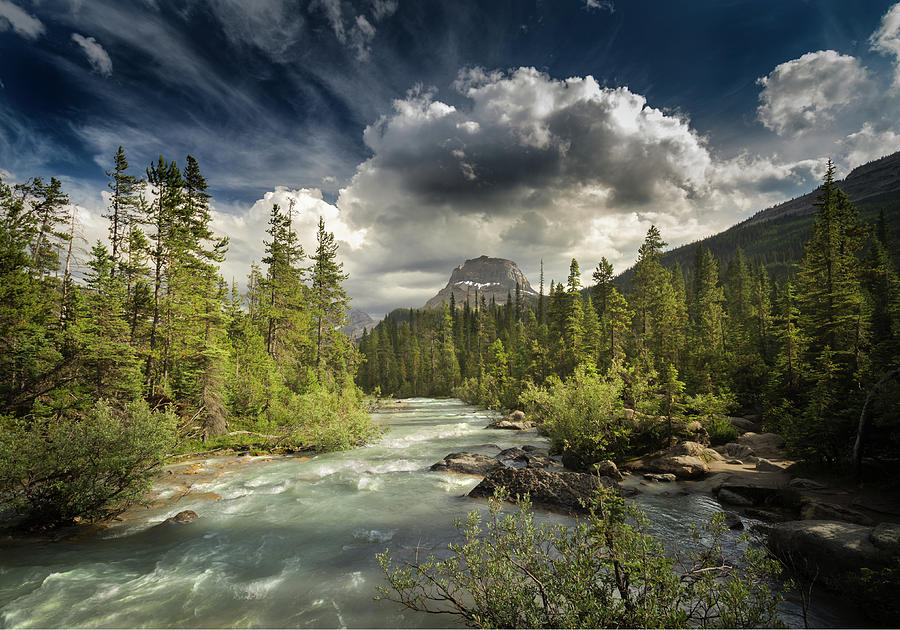 Yoho National Park Photograph by William Lee