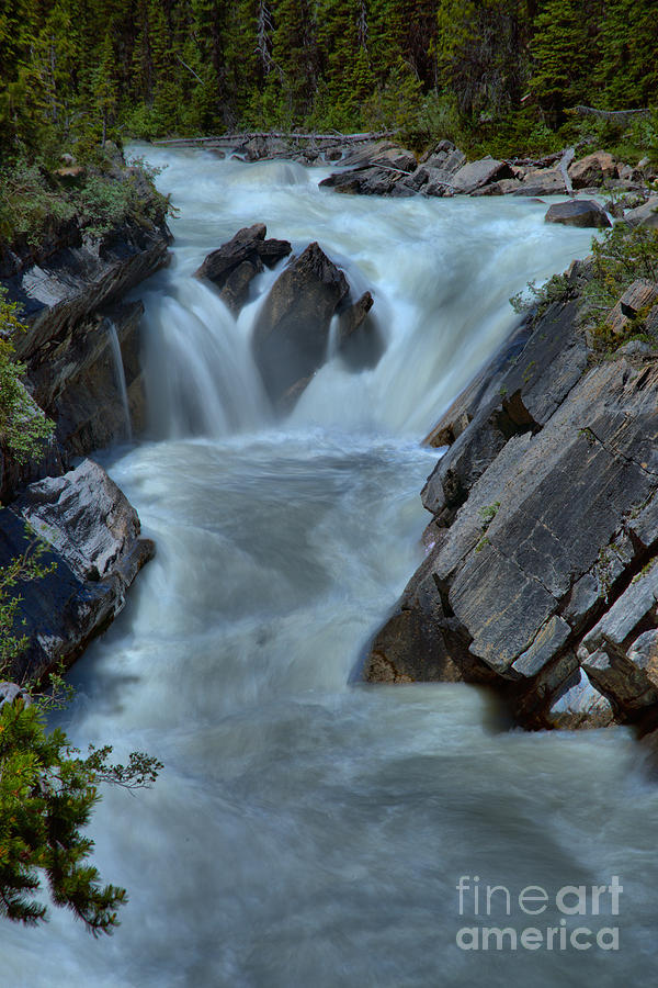 Yoho River Rapids Waterfall Photograph by Adam Jewell