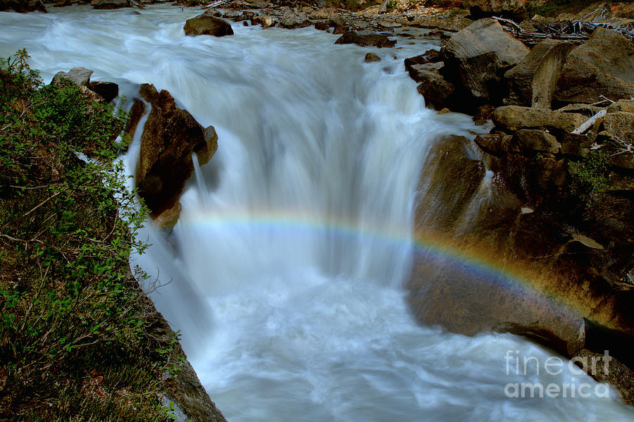 Yoho River Waterfall Rainbow Photograph by Adam Jewell