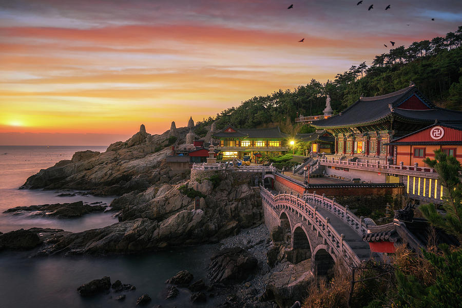Yonggungsa temple on the beach Photograph by Anek Suwannaphoom