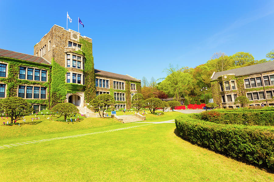 Yonsei University Main Building Ivy Grass H Photograph by Pius Lee