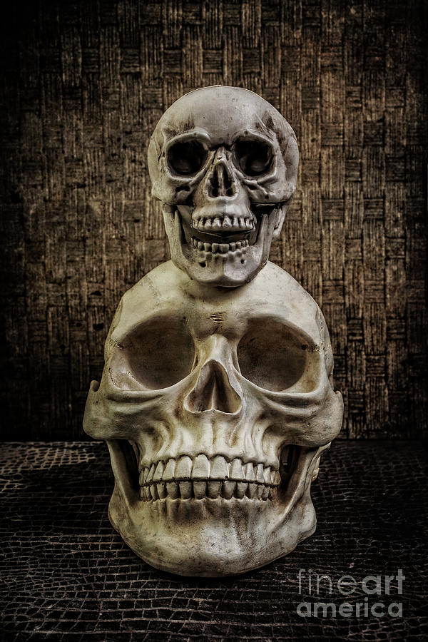 Yorick Stacked Skulls Photograph by Edward Fielding