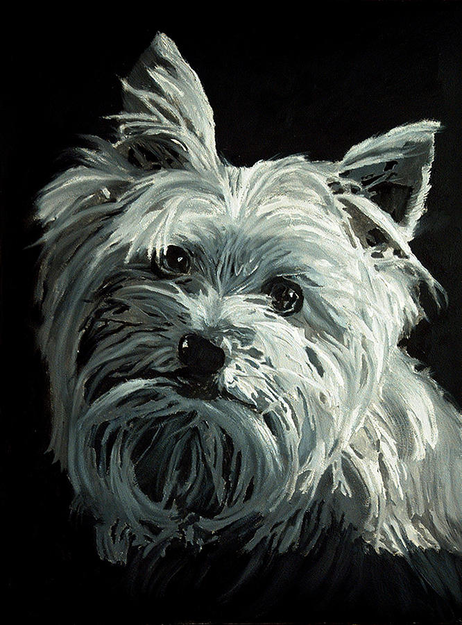 Yorkie Painting by Portraits By NC