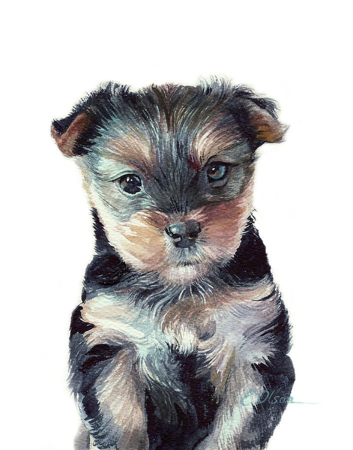 Yorkshire Terrier Painting - Yorkie Puppy by Emily Olson