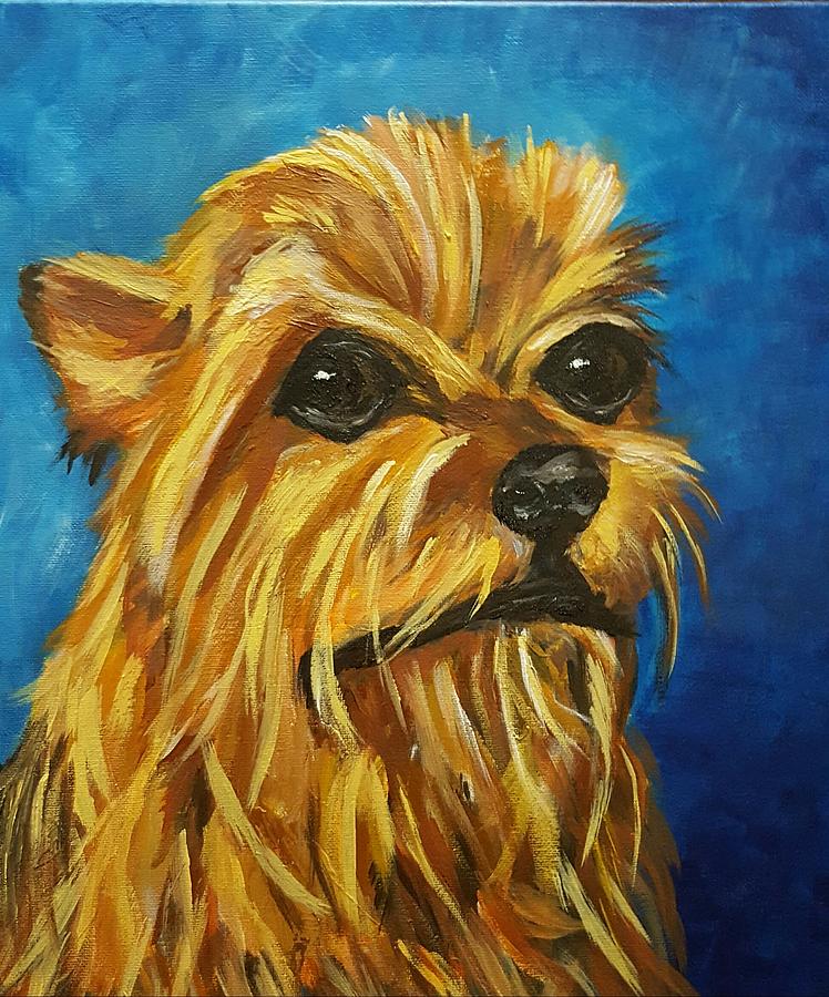 Yorkie Painting by Sherri Spence - Fine Art America