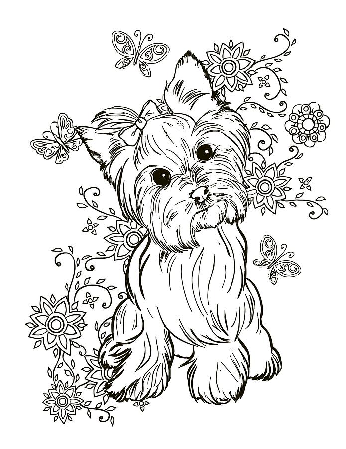 Yorkie Terrier Painting by Cindy Elsharouni