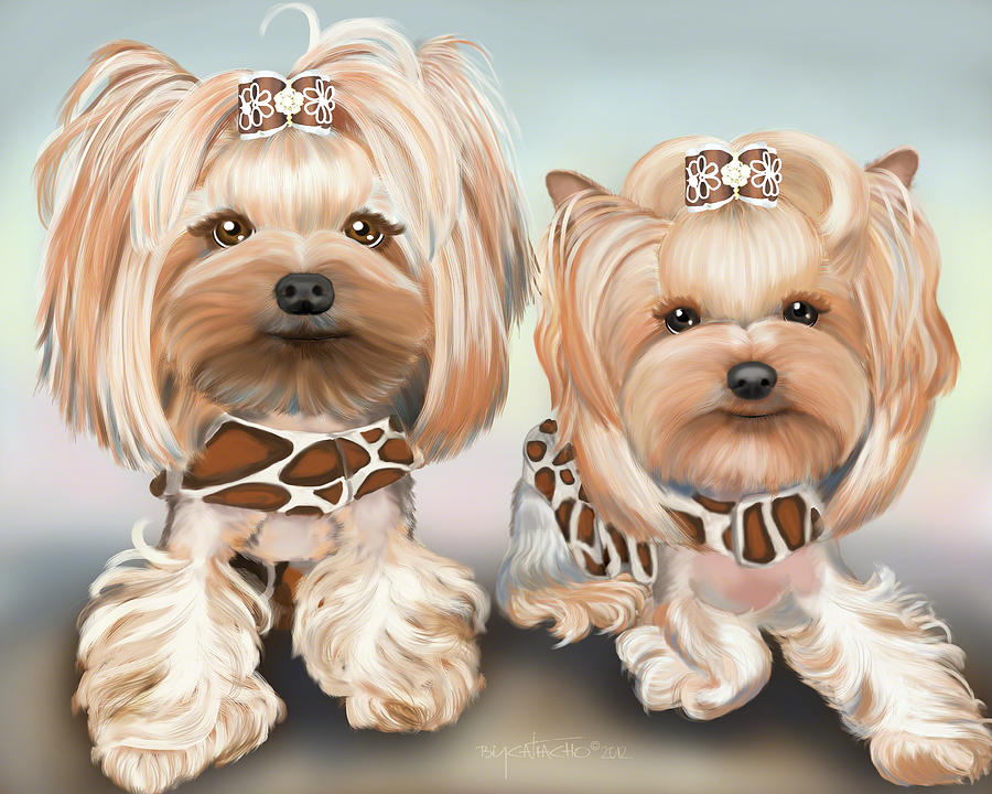 Yorkies Bindy and Pebbles Mixed Media by Catia Lee