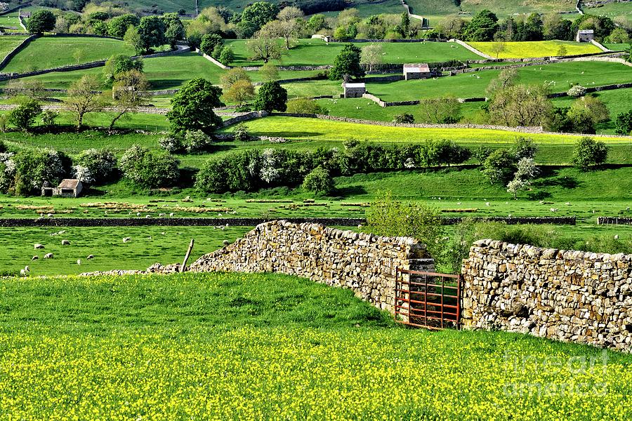 Yorkshire Dales Landscape Photograph by Martyn Arnold