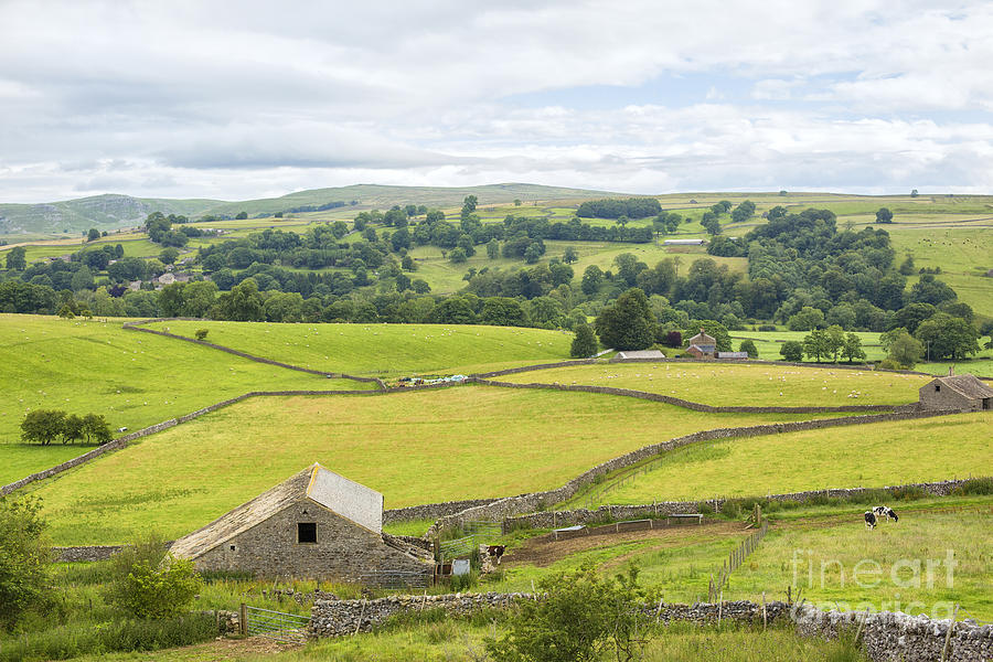 Yorkshire Dales Photograph by Patricia Hofmeester