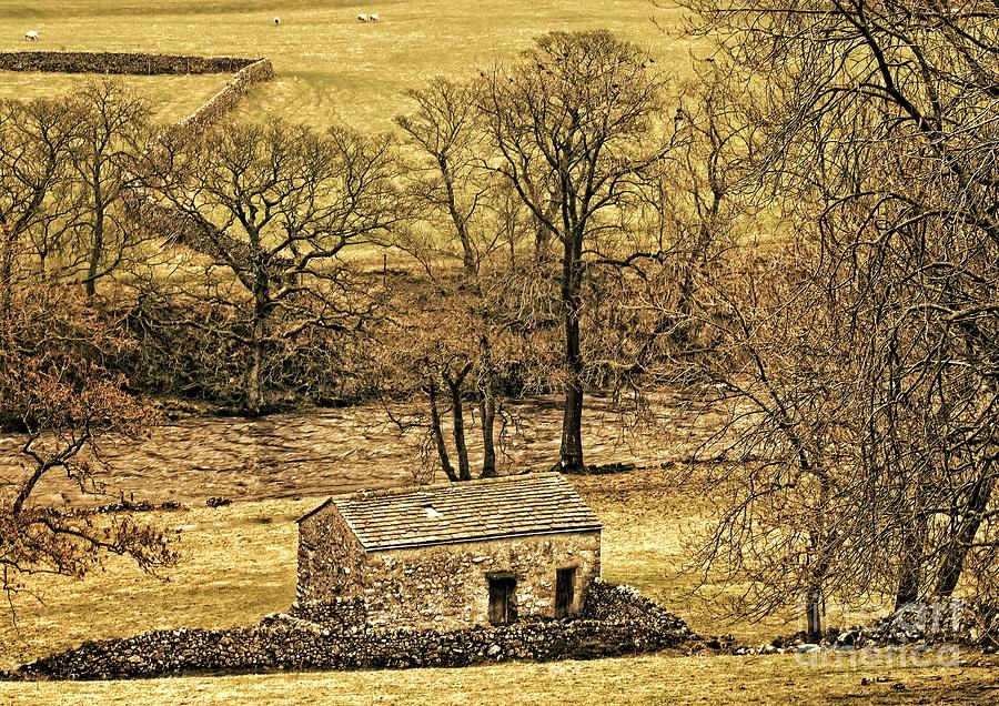 Yorkshire Dales Stone Barn Digital Art by Martyn Arnold