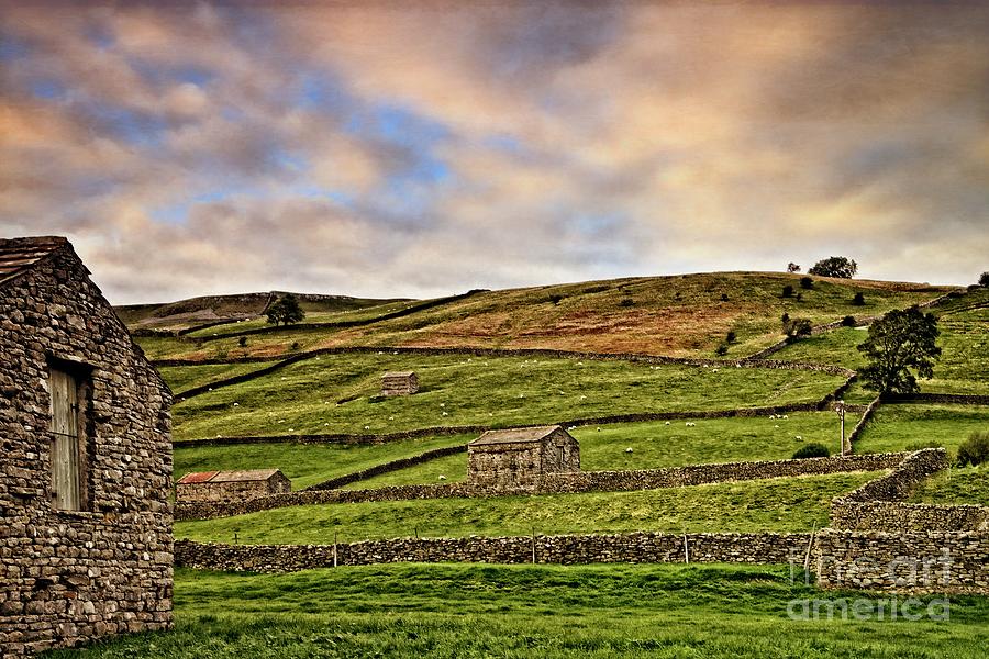 Yorkshire Dales Stone Barns and Walls Photograph by Martyn Arnold