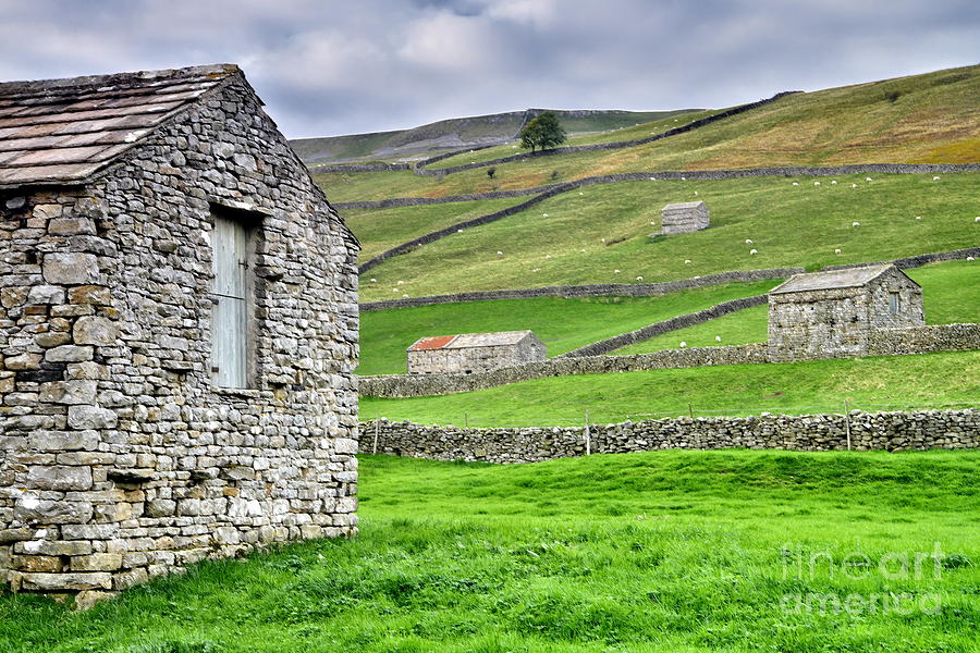 Yorkshire Dales Stone Barns Photograph by Martyn Arnold