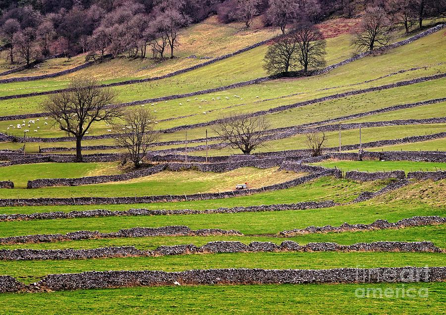 Yorkshire Dales Stone Walls Photograph by Martyn Arnold