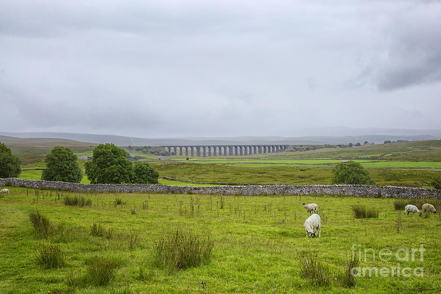 Yorkshire Dales with the Ribblehead viaduct  Photograph by Patricia Hofmeester