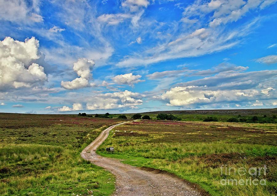 Yorkshire Moors Landscape Photograph by Martyn Arnold