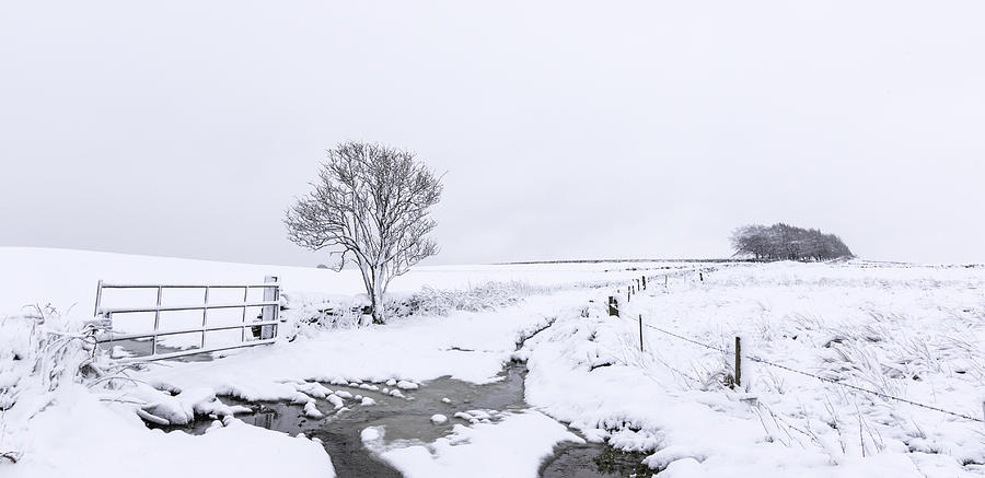 Yorkshire Snowfall Photograph by Chris Smith