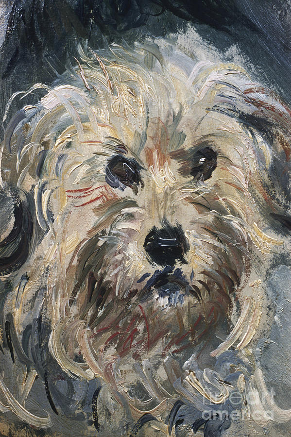 Yorkshire Terrier Painting by Celestial Images