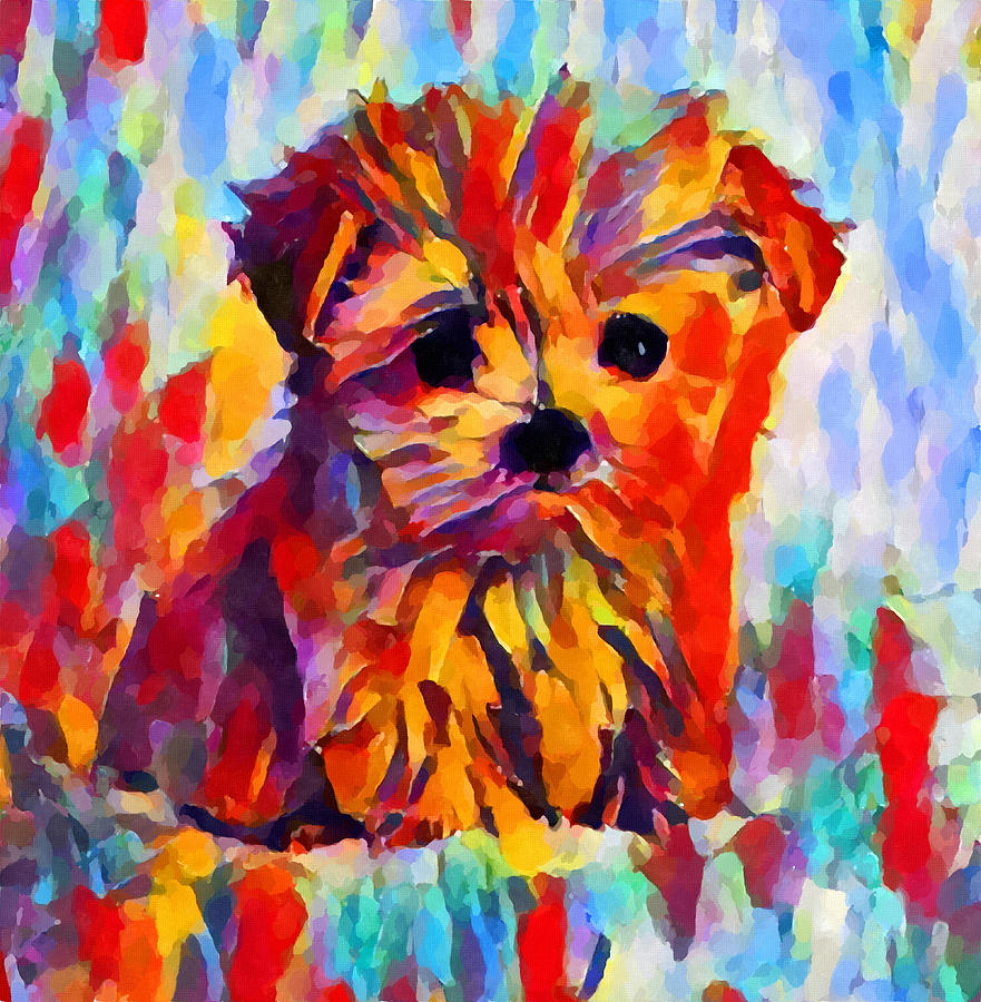 Yorkshire Terrier Painting by Chris Butler