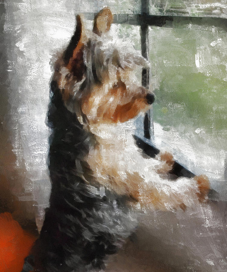 Yorkshire Terrier Painting - Yorkshire Terrier  Its warm in here but so much more interesting out there by JG Keevil