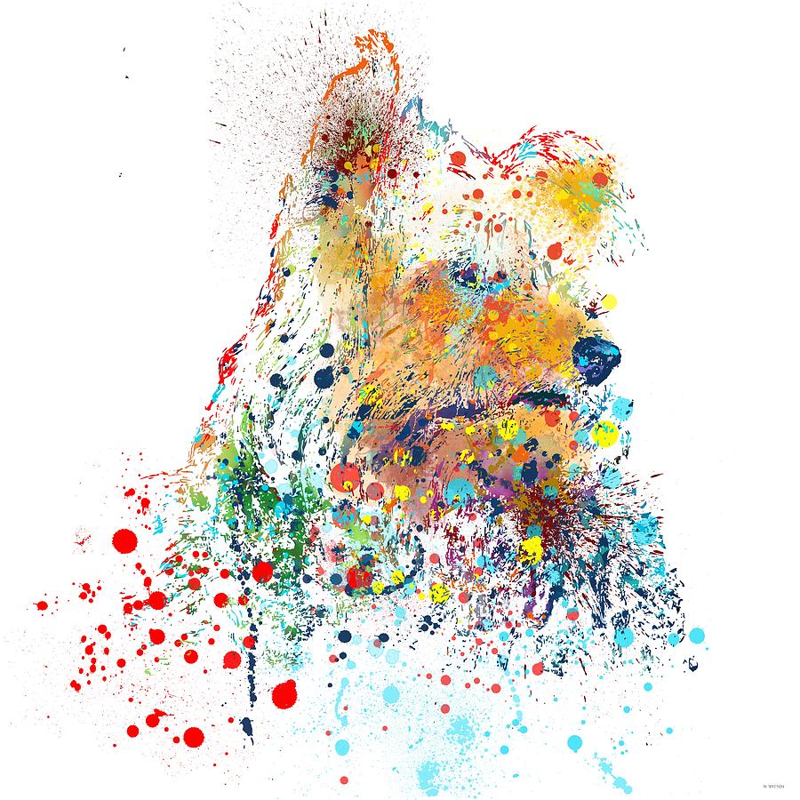 Yorkshire Terrier Digital Art by Marlene Watson