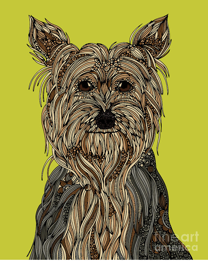 Yorkshire Terrier Digital Art by MGL Meiklejohn Graphics Licensing
