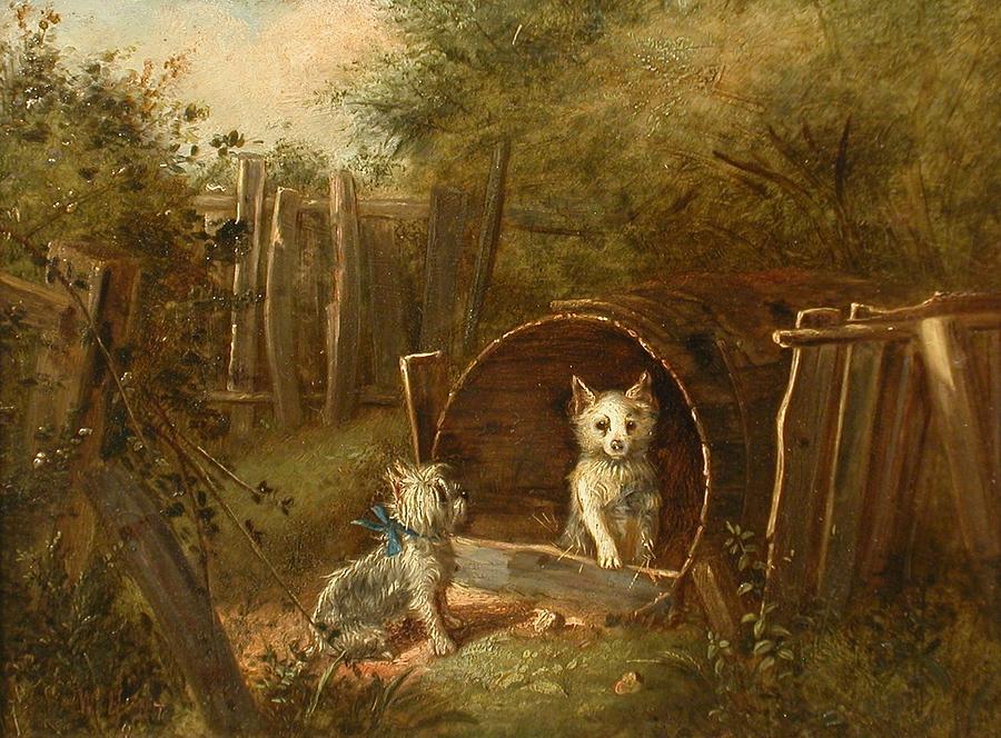 Yorkshire Terriers Alexander and Diogenes Painting by Celestial Images