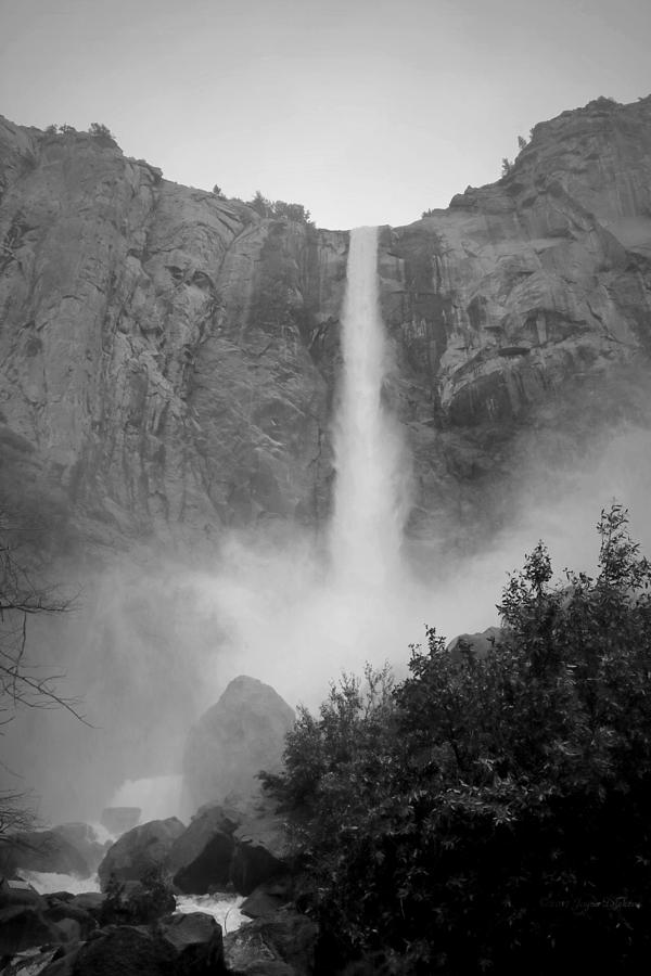 Bridalveil Falls Yosemite Black and White Photograph by Joyce Dickens