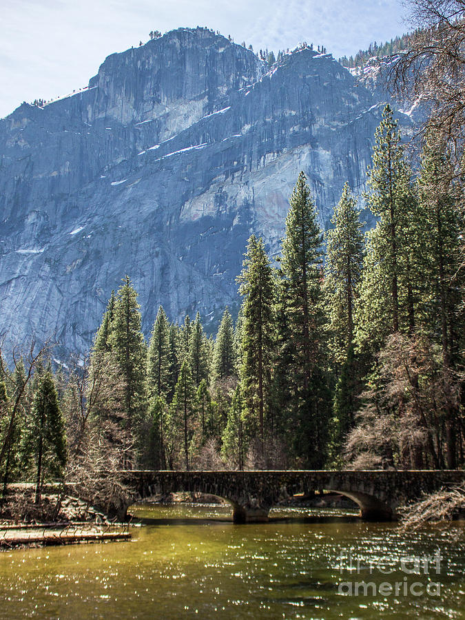 Yosemite Bridge Photograph by Cheryl Del Toro