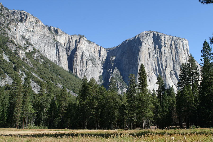 Yosemite Cliffs Photograph by Karen Ruhl