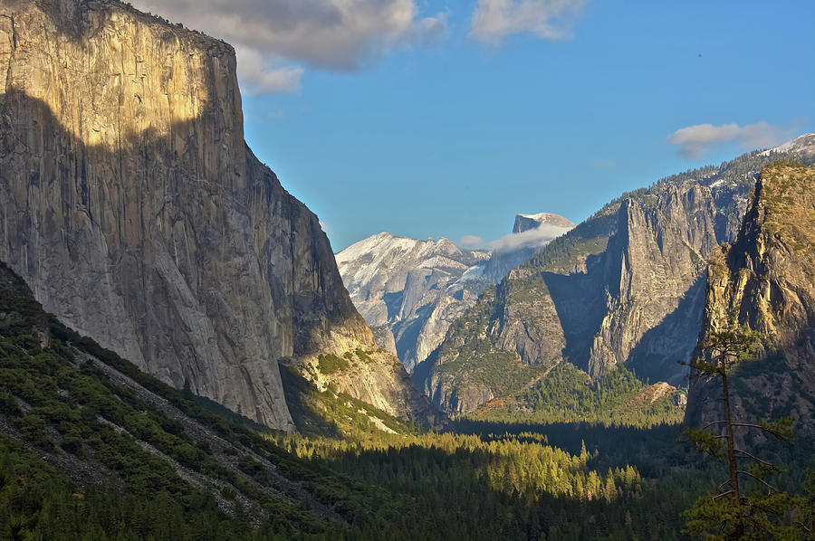 Yosemite Colors Photograph by Steven Lapkin
