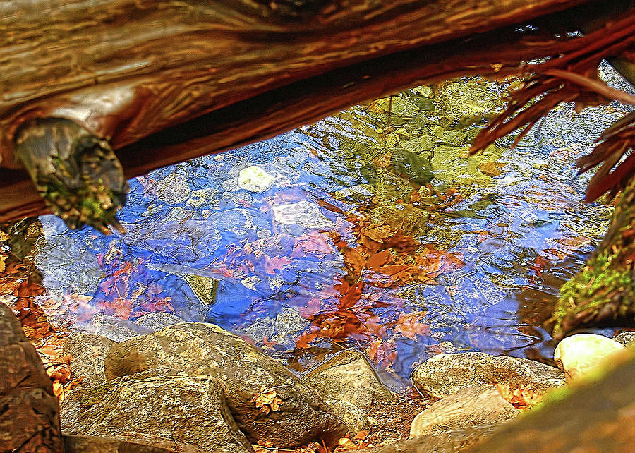 Yosemite Creek Photograph by Gina Cordova