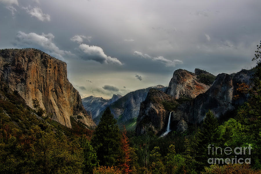 Yosemite Photograph by David Arment