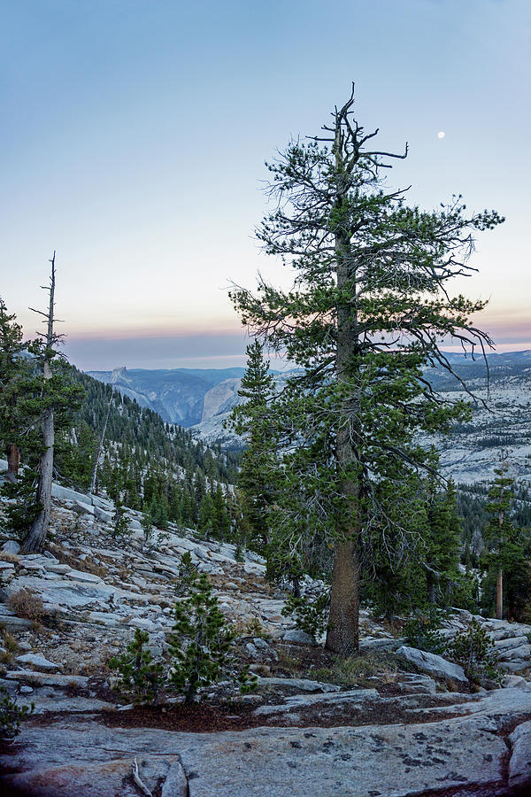 Yosemite Daybreak Photograph by Angie Schutt
