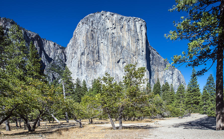 Yosemite El Capitan Photograph by William Bitman