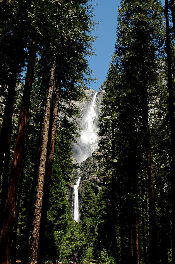 Yosemite National Park Photograph - Yosemite Falls 10 by LeeAnn McLaneGoetz McLaneGoetzStudioLLCcom