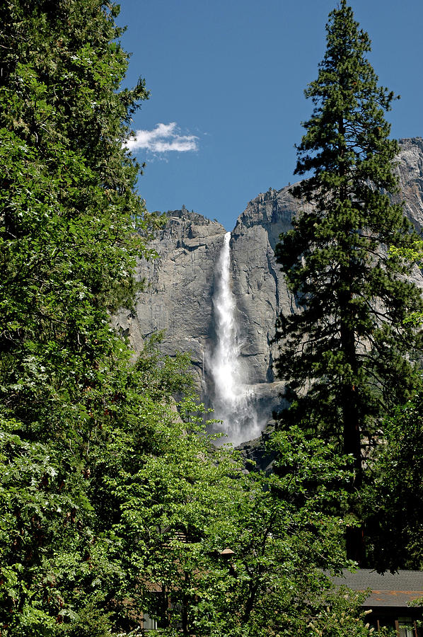 Yosemite National Park Photograph - Yosemite Falls 15 by LeeAnn McLaneGoetz McLaneGoetzStudioLLCcom