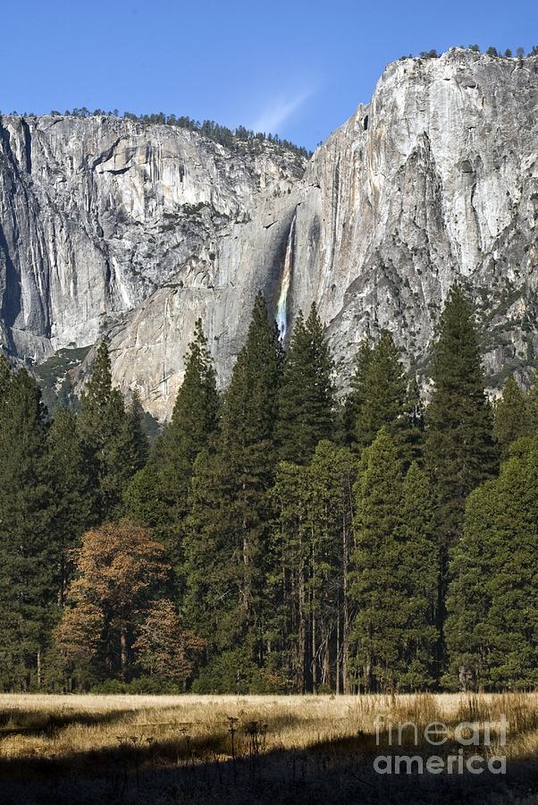 Yosemite falls 2 Photograph by Richard Verkuyl