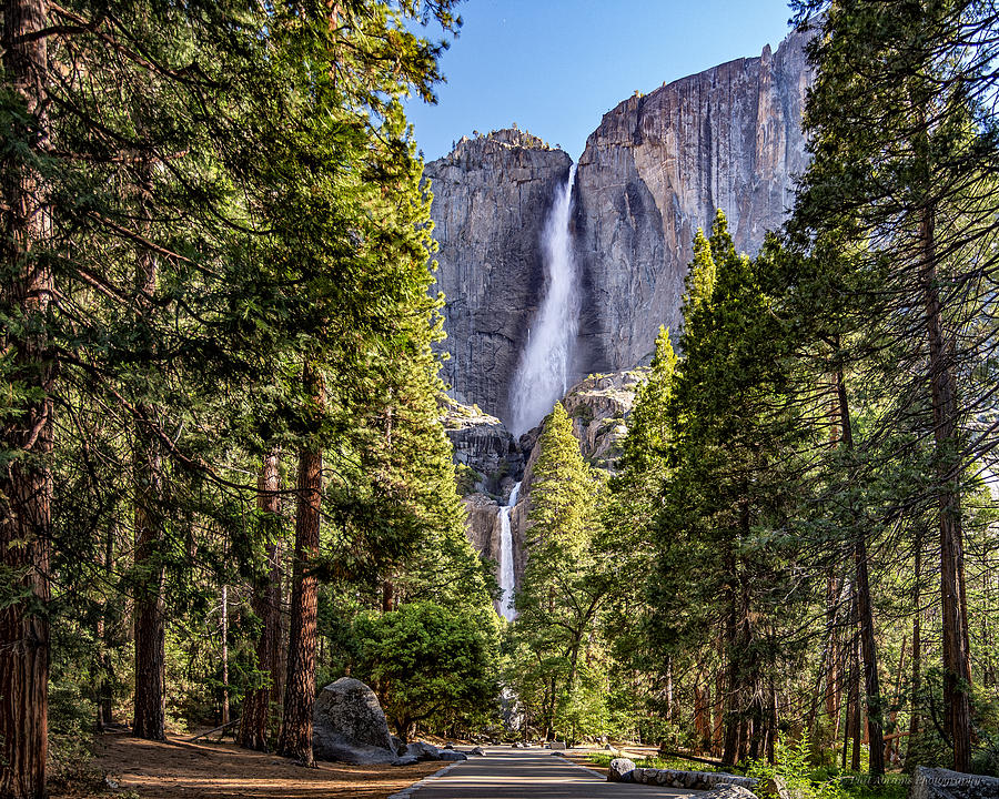 Yosemite Falls 4.0 Photograph by Phil Abrams