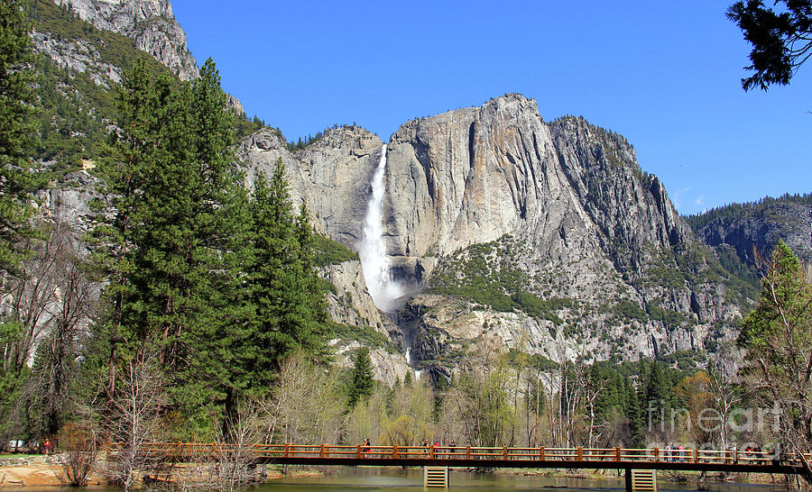 Yosemite Falls 6733 Photograph by Jack Schultz