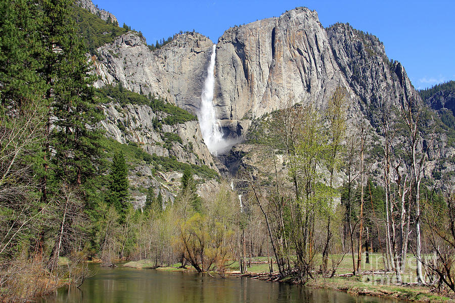 Yosemite Falls  6736 Photograph by Jack Schultz