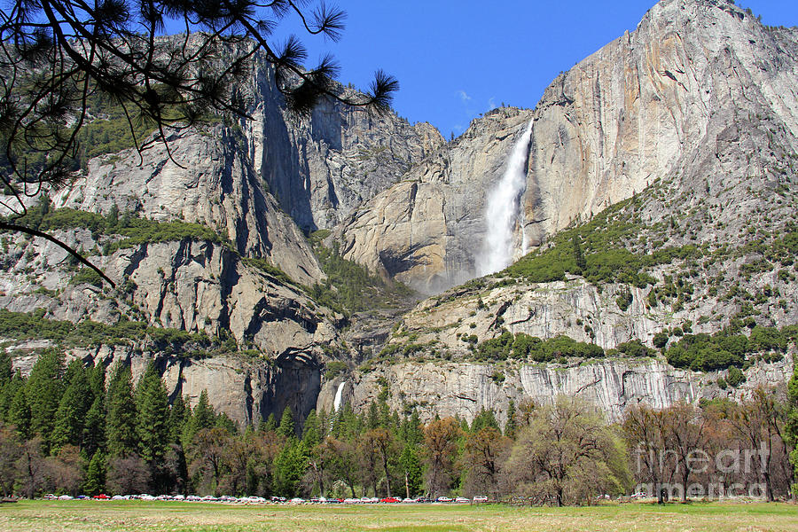 Yosemite Falls  6796 Photograph by Jack Schultz