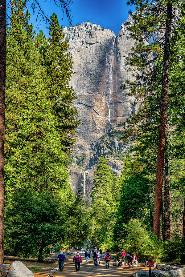 Yosemite Falls 7R2_DSC2432_10082017 Photograph by Greg Kluempers