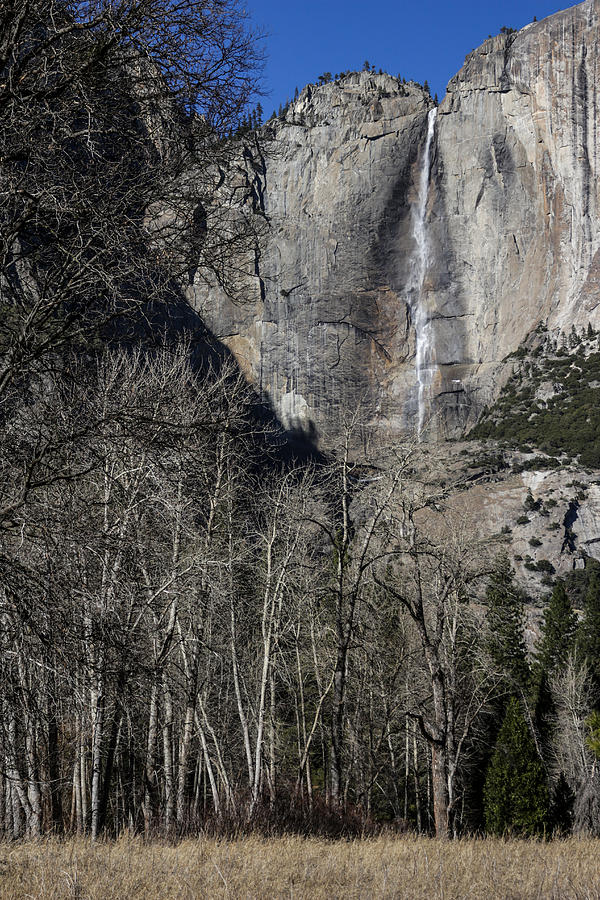 Yosemite Falls Photograph by Adam Rainoff
