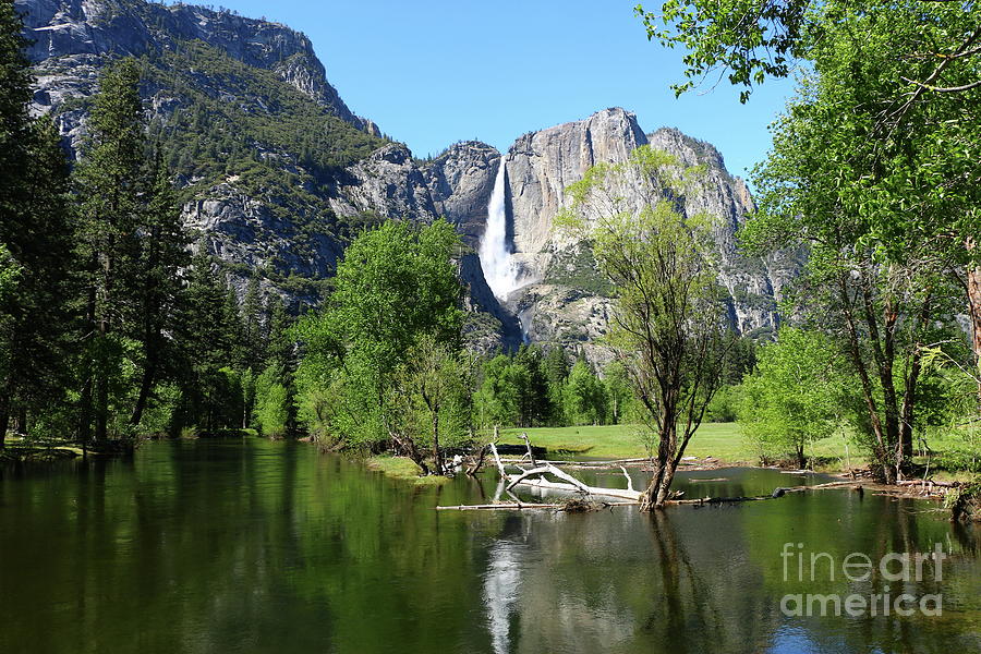 Yosemite Falls And Merced River Photograph by Christiane Schulze Art And Photography