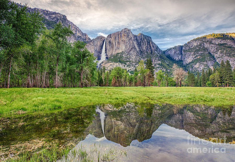 Yosemite Falls And Reflections 2 Photograph by Mimi Ditchie