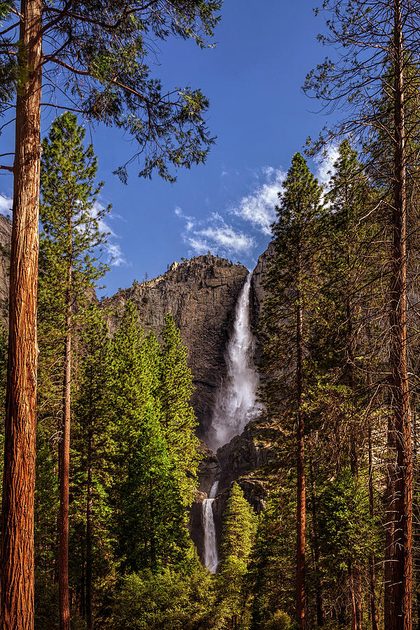 Yosemite National Park Photograph - Yosemite Falls by Andrew Soundarajan