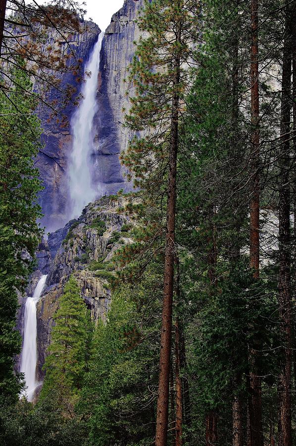 Yosemite Falls C Photograph by Phyllis Spoor