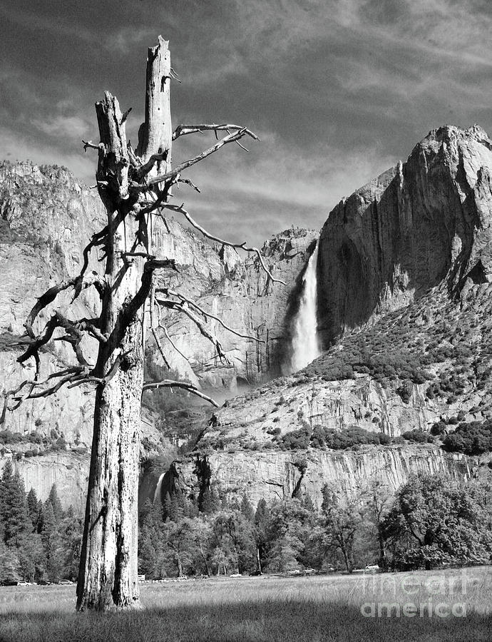Yosemite Falls California  Photograph by Chuck Kuhn